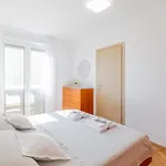 Apartment Cvita
